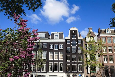 Houses on the Prinsengracht, Amsterdam, Netherlands, Europe Stock Photo - Rights-Managed, Code: 841-03870484