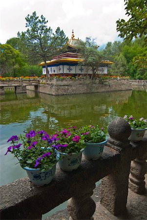 Colourful flowers at the Summer Palace, Lhasa, Tibet, China, Asia Stock Photo - Rights-Managed, Code: 841-03870983