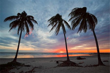 Coucher de soleil des palmes sur Playa Guiones plage, Nosara, péninsule de Nicoya, Province de Guanacaste, Costa Rica, l'Amérique centrale Photographie de stock - Rights-Managed, Code: 841-03871625