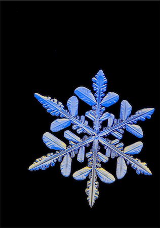 snowflake - Photo-microscope view of a  snowflake with a star shape Foto de stock - Con derechos protegidos, Código: 854-05974239