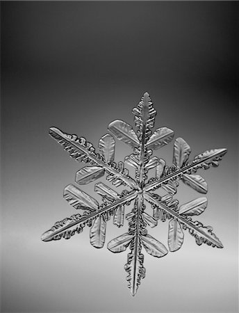 snowflake - Photo-microscope view of a  snowflake with a star shape Foto de stock - Con derechos protegidos, Código: 854-05974240