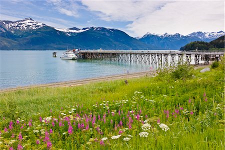 pacific coast usa alaska - Tour boat moored at a dock at Portage Cove beach with Mount Villard in the background, Haines, Southeast Alaska, Summer Stock Photo - Rights-Managed, Code: 854-05974265