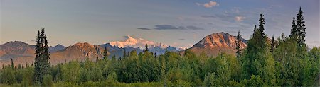 forêt boréale - Alpenglow Sunrise allume mont McKinley et dent de l'orignal, comme on le voit de la Veterans Memorial dans le parc national Denali, en Alaska, l'été Photographie de stock - Rights-Managed, Code: 854-05974321