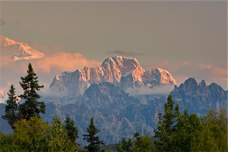 Sunrise Alpenglühen leuchtet der Elch, der Zahn, gesehen vom das Veterans Memorial im Denali Nationalpark, Alaska, Sommer Stockbilder - Lizenzpflichtiges, Bildnummer: 854-05974323