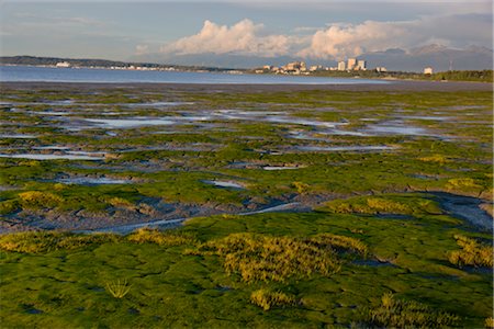 Late afternoon light illuminates the downtown Anchorage skyline and coastal mudflats along Knik Arm after a thunderstorm, Summer, Southcentral Alaska Foto de stock - Con derechos protegidos, Código: 854-05974334