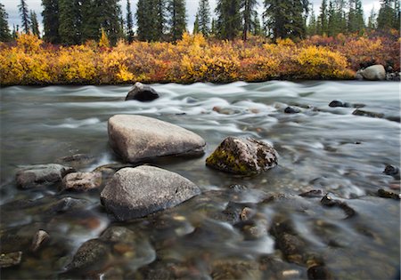 simsearch:854-03740296,k - Brushkana Creek near the BLM Brushkana campground on the west end of the Denali Highway, Interior Alaska, Autumn Foto de stock - Direito Controlado, Número: 854-05974382