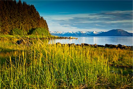 parco nazionale della baia del ghiacciaio - Scenic evening view of coastal grasses and Bartlett Cove, Glacier Bay National Park & Preserve, Southeast Alaska, Summer Fotografie stock - Rights-Managed, Codice: 854-05974516