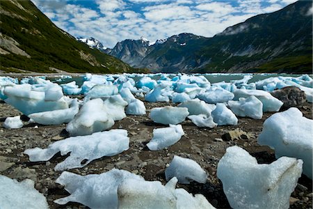 parque nacional da baia de glacier - Scenic of icebergs from McBride Glacier in Muir Inlet, Glacier Bay National Park & Preserve, Southeast Alaska, Summer Foto de stock - Direito Controlado, Número: 854-05974539