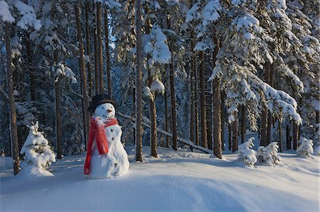 southcentral alaska - Snowman In Front Of A Snowy Spruce Forest;Anchorage Alaska Usa Stock Photo - Rights-Managed, Code: 854-08028104