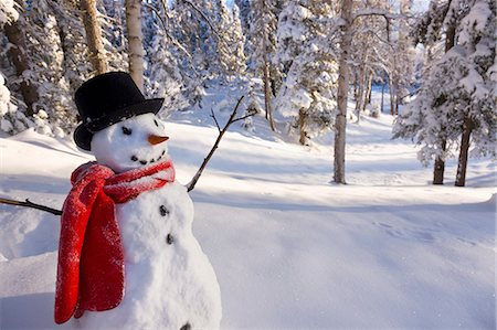 southcentral alaska - Snowman Wearing A Black Top Hat And Red Scarf Standing In A Meadow In Front Of A Birch And Spruce Forest;Anchorage Alaska Usa Stock Photo - Rights-Managed, Code: 854-08028106