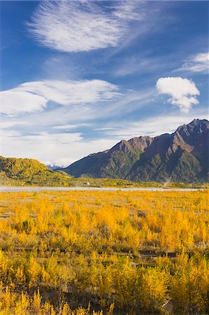 The Glacially Carved Matanuska River Valley Filled With The Fall Colors Of Birch And Cottonwood Trees, Pioneer Peak And The Chugach Mountains In The Background, Fall, Palmer, Southcentral Alaska, Usa. Stock Photo - Rights-Managed, Code: 854-08028148