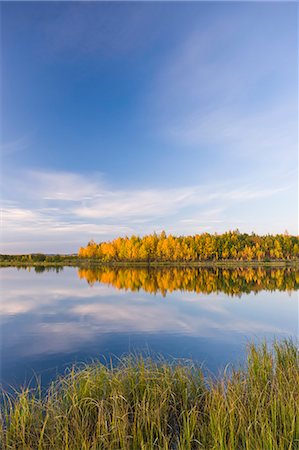 Fall Foliage Reflected In The Water At The Chena Lakes Recreation Area, Fairbanks, Alaska, Usa Stock Photo - Rights-Managed, Code: 854-08028212