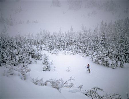 People Skiing in a Snow Storm @ Douglas Island SE AK Winter Scenic Foto de stock - Con derechos protegidos, Código: 854-02954901