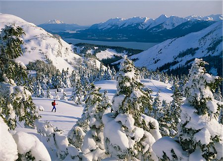 selva nacional - Cross Country ski sur AK du sud-est de l'île Douglas Photographie de stock - Rights-Managed, Code: 854-02954902