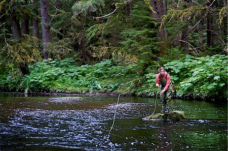 pesca con la mosca - Woman fly fishing on Ward Creek in the Tongass National Forest near Ketchikan, Alaska Fotografie stock - Rights-Managed, Codice: 854-02954983