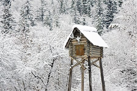 snowy cabin pictures - Snow covered cache near Porcupine Crossing outside Haines Alaska Southeast Winter Tongass Nat Forest Stock Photo - Rights-Managed, Code: 854-02955484