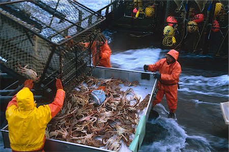 Fisherman Unloads Crab Pots on Deck Bering Sea SW AK /nOpilio Crab Season F/V Erla N Fotografie stock - Rights-Managed, Codice: 854-02955500