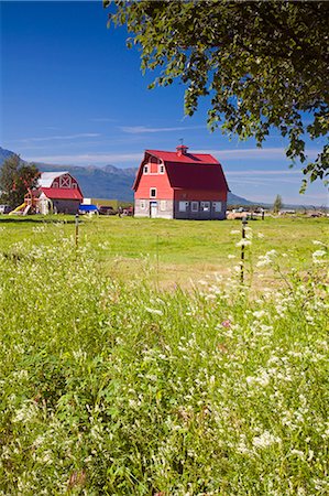 red barn in field - Original 1930s Colony Barn & farm w/Chugach Mountains Matanuska Valley Palmer Southcentral Alaska Summer Stock Photo - Rights-Managed, Code: 854-02955541