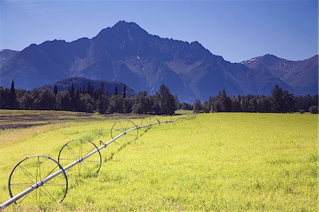 farm active - Rolling irrigation sprinkler on hay field below Pioneer Peak Mat-Su Valley SC Alaska Summer Stock Photo - Rights-Managed, Code: 854-02955543