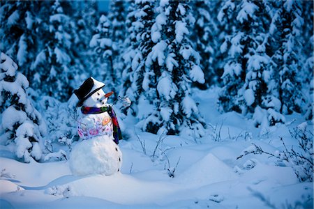 simsearch:854-02955866,k - Snowman with colorful scarf and vest wearing a black top hat standing in snow covered spruce forest near Fairbanks, Alaska in Winter Stock Photo - Rights-Managed, Code: 854-02955846