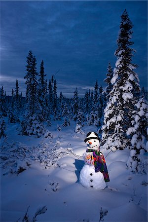 simsearch:854-02955754,k - Snowman with colorful scarf and vest wearing a black top hat standing in snow covered spruce forest near Fairbanks, Alaska in Winter Foto de stock - Con derechos protegidos, Código: 854-02955848