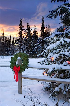 decorating tree - Holiday Wreath hanging on split-rail fence next to decorated tree w/sunset Anchorage Alaska Winter Stock Photo - Rights-Managed, Code: 854-02955858