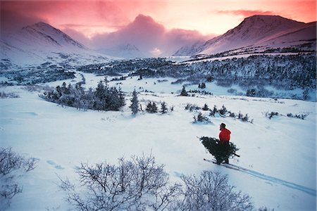 Alpin de Chugach Mtns homme transportant l'arbre de Noël AK Centre-Sud hiver lever de soleil Photographie de stock - Rights-Managed, Code: 854-02955876