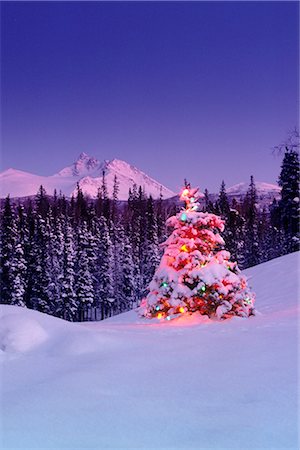 snow covered lights - Decorated Christmas Tree @ Chugach NP SC Alaska Stock Photo - Rights-Managed, Code: 854-02955886