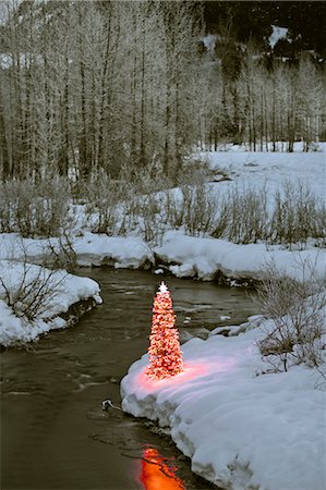 simsearch:854-02955890,k - Beleuchteter Weihnachtsbaum am Ufer eines Stromes während des Winters in South Central Alaska Stockbilder - Lizenzpflichtiges, Bildnummer: 854-02955904