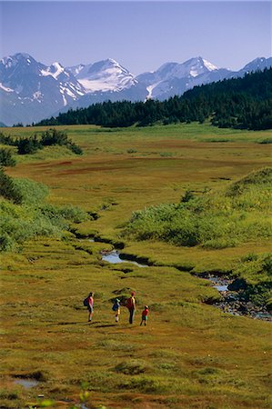 Family Chugach Mtns Hiking Meadow Tundra Forest AK Kenai Peninsula Summer Scenic Foto de stock - Con derechos protegidos, Código: 854-02955948