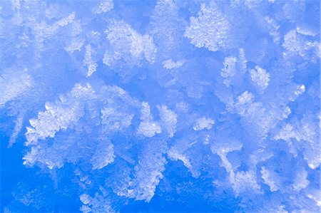 snowflake - Close up of ice crystals Alaska Winter Foto de stock - Con derechos protegidos, Código: 854-02956121