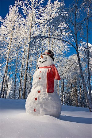snow covered spruce tree - Snowman with red scarf and black top hat standing in front of snow covered Birch forest, winter, Eagle River, Alaska, USA. Stock Photo - Rights-Managed, Code: 854-02956134