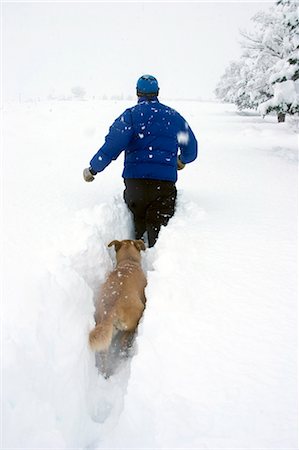 Sentier de rupture homme dans la neige avec chien suite derrière près de Bishop en Californie Photographie de stock - Rights-Managed, Code: 854-02956153