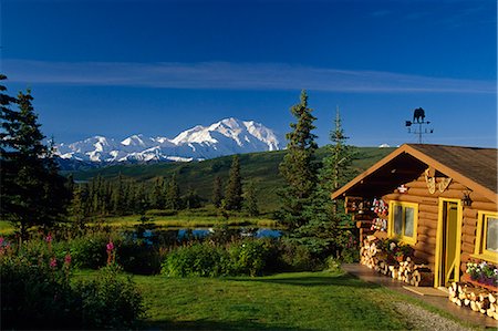 simsearch:854-02956160,k - Log Cabin @ Camp Denali w/Mt McKinley Denali National Park Interior Alaska Summer Foto de stock - Con derechos protegidos, Código: 854-02956219