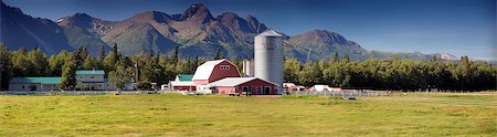 Originaux des années 1930 colonie grange & ferme avec les montagnes Chugach Matanuska Valley Palmer centre-sud de l'Alaska été Photographie de stock - Rights-Managed, Code: 854-03209896