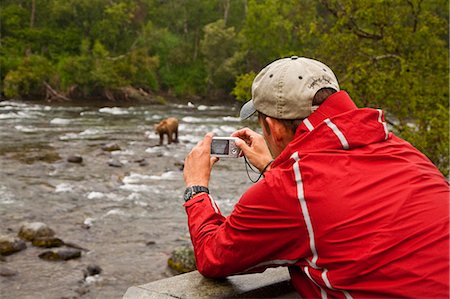 Visitor takes digital photo of brown bear feeding on sockeye salmon at Brooks Falls,  Katmai National Park, Southwest, Alaska Foto de stock - Con derechos protegidos, Código: 854-03361867