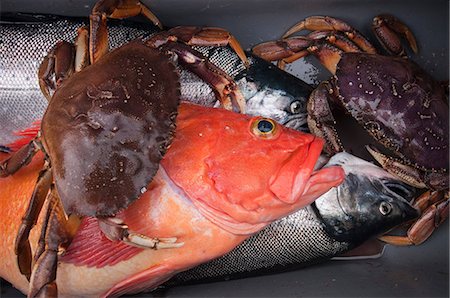 poisson mort - Gros plan des poissons pêchés dans la cale d'un bateau de petits gibiers, sud-est de l'Alaska Photographie de stock - Rights-Managed, Code: 854-03362014