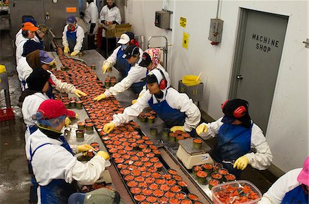 employees industry - Ocean Beauty plant workers inspect cans of sockeye salmon before they are sealed and cooked, Naknek, Alaska/n Stock Photo - Rights-Managed, Code: 854-03362024