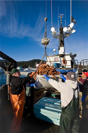 King Crab being hoisted into the hold of a tender which will soon be unloaded at a processing plant, Juneau, Alaska. Stock Photo - Rights-Managed, Code: 854-03362226
