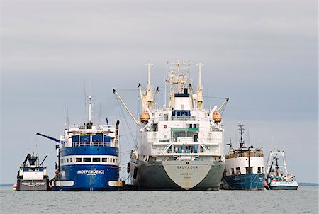 Tenders and at-sea processors rafted together in the Naknek River, Bristol Bay, Alaska/n Foto de stock - Con derechos protegidos, Código: 854-03362246