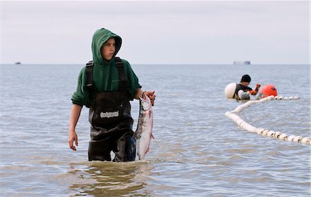 simsearch:400-05020089,k - Kommerzielle Setnet Fischer nimmt Sockeye aus ein Netz an der Nordküste Naknek, Bristol Bay, Alaska/n Stockbilder - Lizenzpflichtiges, Bildnummer: 854-03362268