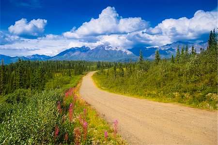 View of the Mentasta Moountains from Nabesna Road in Wrangell Saint Elias National Park, Southcentral Alaska, Summer Fotografie stock - Rights-Managed, Codice: 854-03362321