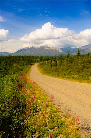 View of the Mentasta Moountains from Nabesna Road in Wrangell Saint Elias National Park, Southcentral Alaska, Summer Fotografie stock - Rights-Managed, Codice: 854-03362322