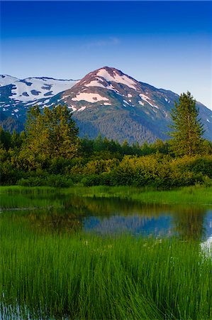 simsearch:854-03361800,k - Scenic view of a small stream in Portage Valley with Chugach Mountains in the background,  Southcentral Alaska, Summer Foto de stock - Con derechos protegidos, Código: 854-03362375