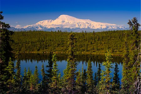 View of Mount Sanford from Long Lake, Wrangell Saint Elias National Park, Southcentral Alaska, Summer Fotografie stock - Rights-Managed, Codice: 854-03362380