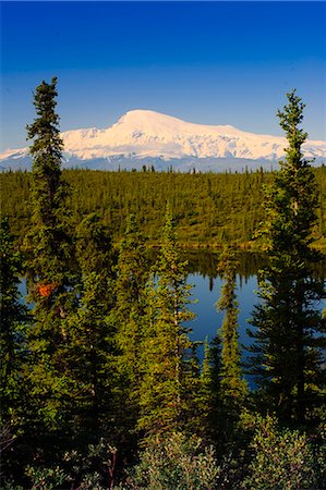 View of Mount Sanford from Long Lake, Wrangell Saint Elias National Park, Southcentral Alaska, Summer Fotografie stock - Rights-Managed, Codice: 854-03362381