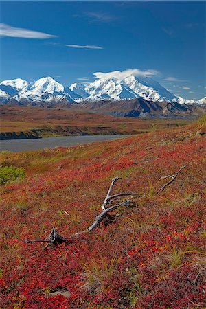 Scenic view of Mt.McKinley from Thorofare Pass with colorful Autumn tundra in the foreground, Denali National Park, Interior Alaska Stock Photo - Rights-Managed, Code: 854-03362506