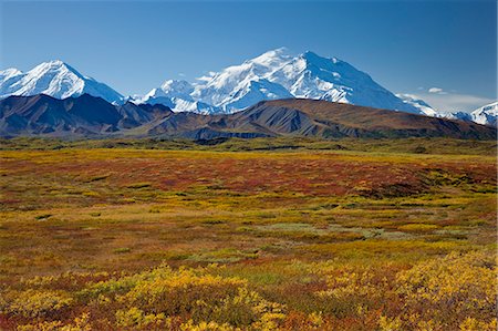 sauce - Scenic view of Mt.McKinley from Grassy Pass with colorful Autumn tundra in the foreground, Denali National Park, Interior Alaska Foto de stock - Con derechos protegidos, Código: 854-03362508