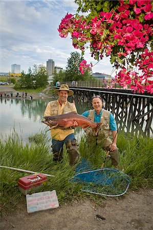 ship creek - Fishermen poses with King Salmon at Ship Creek in downtown Anchorage, Alaska during Summer Stock Photo - Rights-Managed, Code: 854-03538037