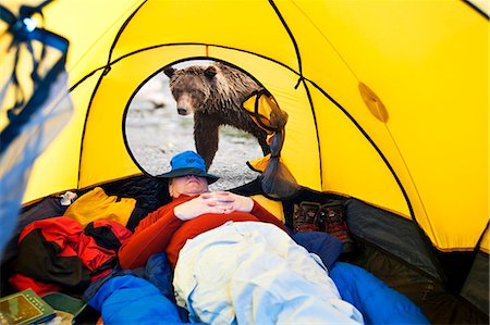 pauroso - COMPOSITE Grizzly bear looking through tent door with man inside, Alaska COMPOSITE Fotografie stock - Rights-Managed, Codice: 854-03538061
